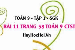 Bài 11 trang 58 Toán 9 tập 1 Chân trời sáng tạo